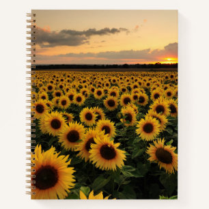 Flowers Sunflower Field Notitieboek