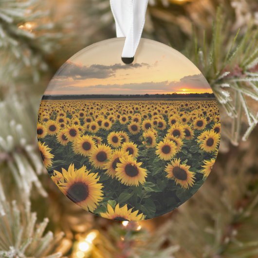 Flowers | Sunflower Field Ornament (Boom)