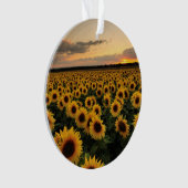 Flowers | Sunflower Field Ornament (voorkant)