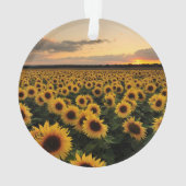 Flowers | Sunflower Field Ornament (achterkant)
