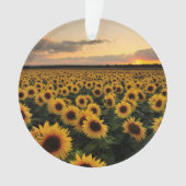 Flowers | Sunflower Field Ornament (voorkant)