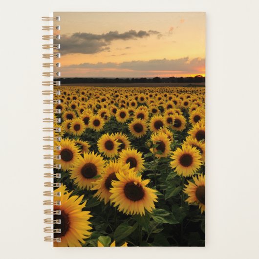 Flowers | Sunflower Field Planner (Voorkant)