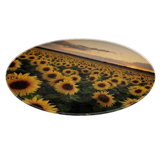 Flowers | Sunflower Field Snijplank (Hoek)