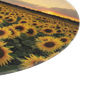 Flowers | Sunflower Field Snijplank (Hoek)