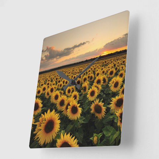 Flowers | Sunflower Field Vierkante Klok (Hoek)