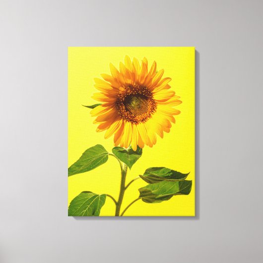 Flowers | Sunflower on Yellow Canvas Afdruk (Voorkant)