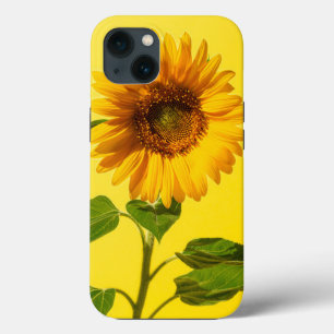 Flowers Sunflower on Yellow Case-Mate iPhone Case