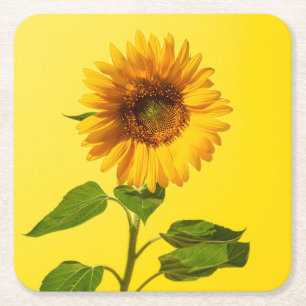 Flowers Sunflower on Yellow Kartonnen Onderzetters