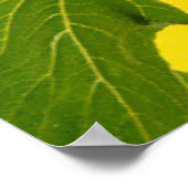 Flowers Sunflower on Yellow Poster (Hoek)