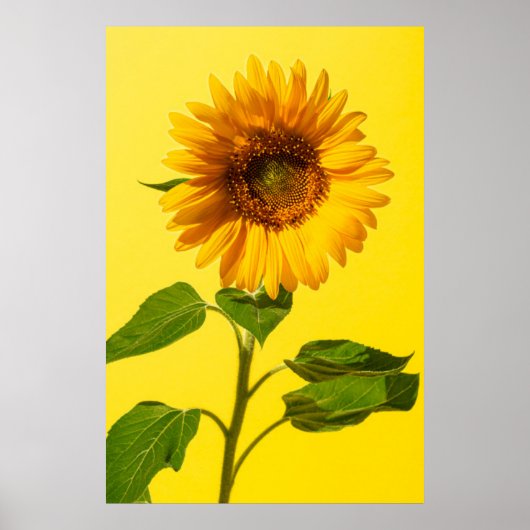 Flowers Sunflower on Yellow Poster (Voorkant)