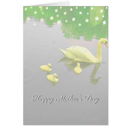 Flowers & Swan Lake Moederdag (Voorkant)