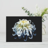 Flowers White Chrysanthemum Bedankkaart (Staand voorkant)