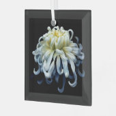 Flowers White Chrysanthemum Glas Ornament (Voorkant links)