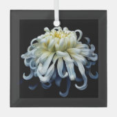 Flowers White Chrysanthemum Glas Ornament (Voorkant)