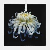 Flowers White Chrysanthemum Glas Ornament (Achterkant)