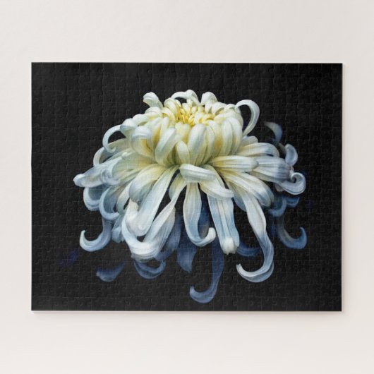 Flowers White Chrysanthemum Legpuzzel (Horizontaal)