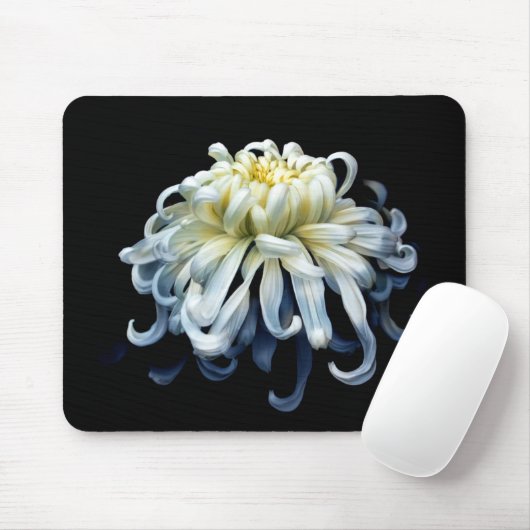 Flowers White Chrysanthemum Muismat (Met muis)