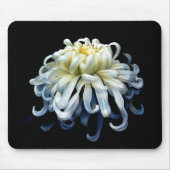 Flowers White Chrysanthemum Muismat (Voorkant)