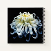 Flowers White Chrysanthemum Notitieboek (Achterkant)