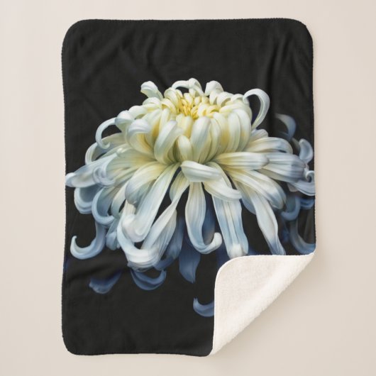 Flowers White Chrysanthemum Sherpa Deken (Voorkant)