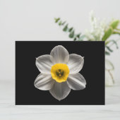 Flowers | White Daffodil Flower Bedankkaart (Staand voorkant)
