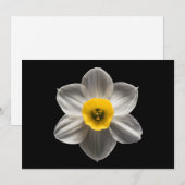 Flowers | White Daffodil Flower Bedankkaart (Voorkant / Achterkant)