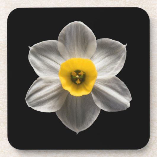 Flowers | White Daffodil Flower Bier Onderzetter (Voorkant)