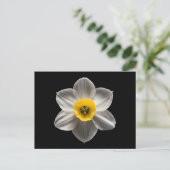 Flowers | White Daffodil Flower Briefkaart (Staand voorkant)