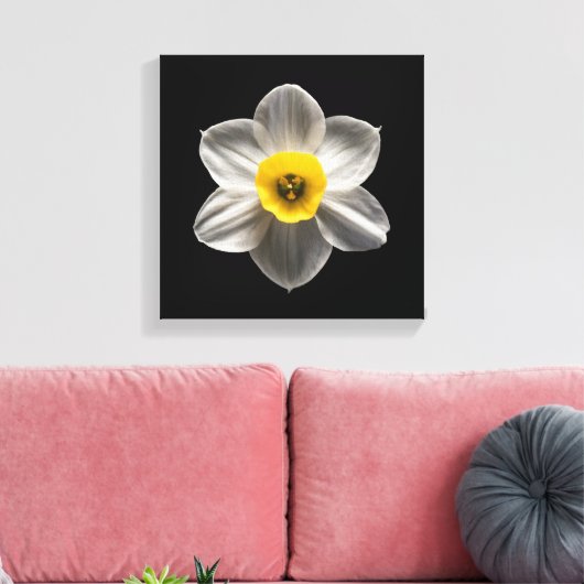 Flowers | White Daffodil Flower Canvas Afdruk (Insitu (Woonkamer))