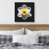 Flowers | White Daffodil Flower Canvas Afdruk (Insitu (Slaapkamer))