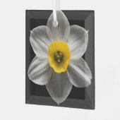 Flowers | White Daffodil Flower Glas Ornament (Voorkant links)