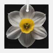 Flowers | White Daffodil Flower Glas Ornament (Achterkant)