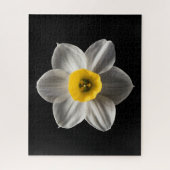 Flowers | White Daffodil Flower Legpuzzel (Verticaal)