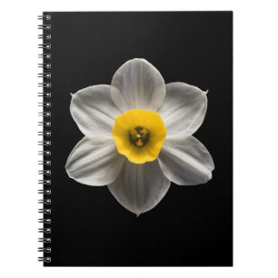 Flowers White Daffodil Flower Notitieboek