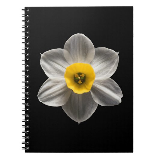 Flowers | White Daffodil Flower Notitieboek (Voorkant)