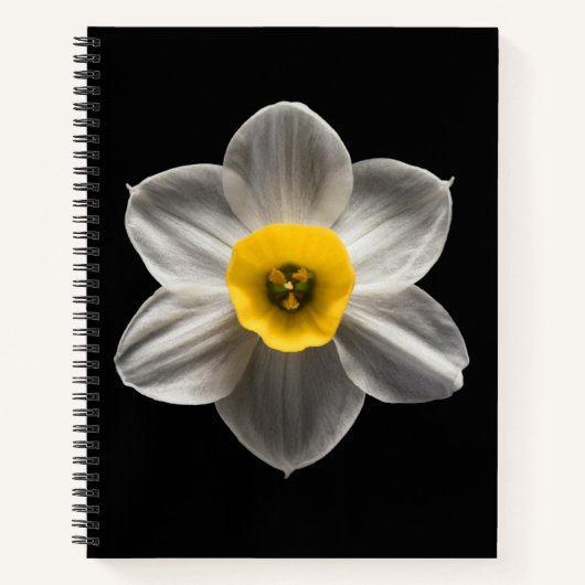 Flowers | White Daffodil Flower Notitieboek (Voorkant)