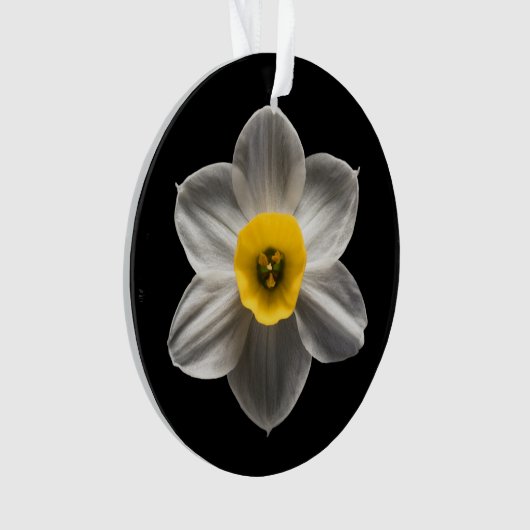 Flowers | White Daffodil Flower Ornament (voorkant)