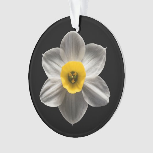 Flowers | White Daffodil Flower Ornament (voorkant)
