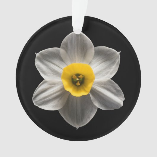 Flowers | White Daffodil Flower Ornament (voorkant)