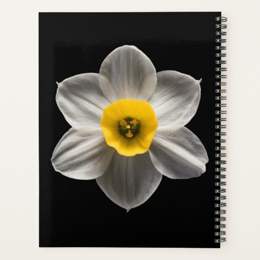 Flowers | White Daffodil Flower Planner (Achterkant)