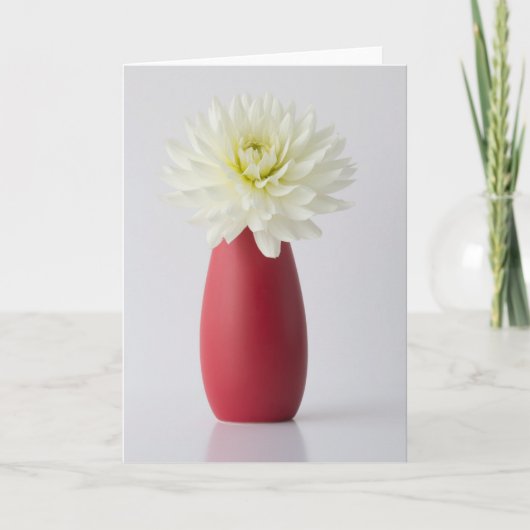 Flowers | White Dahlia in Red Vase Kaart (Voorkant)