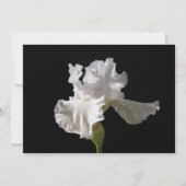 Flowers | White Iris Bedankkaart (Voorkant)