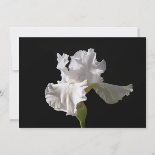 Flowers | White Iris Bedankkaart (Voorkant)