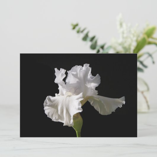 Flowers | White Iris Bedankkaart (Staand voorkant)