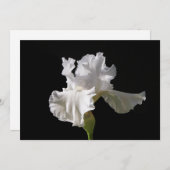 Flowers | White Iris Bedankkaart (Voorkant / Achterkant)