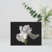 Flowers | White Iris Briefkaart (Staand voorkant)