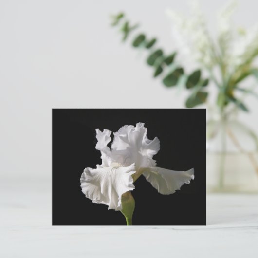 Flowers | White Iris Briefkaart (Staand voorkant)
