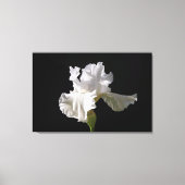 Flowers | White Iris Canvas Afdruk (Voorkant)