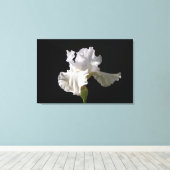 Flowers | White Iris Canvas Afdruk (Insitu (Houten vloer))