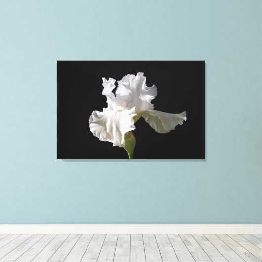 Flowers | White Iris Canvas Afdruk (Insitu (Houten vloer))